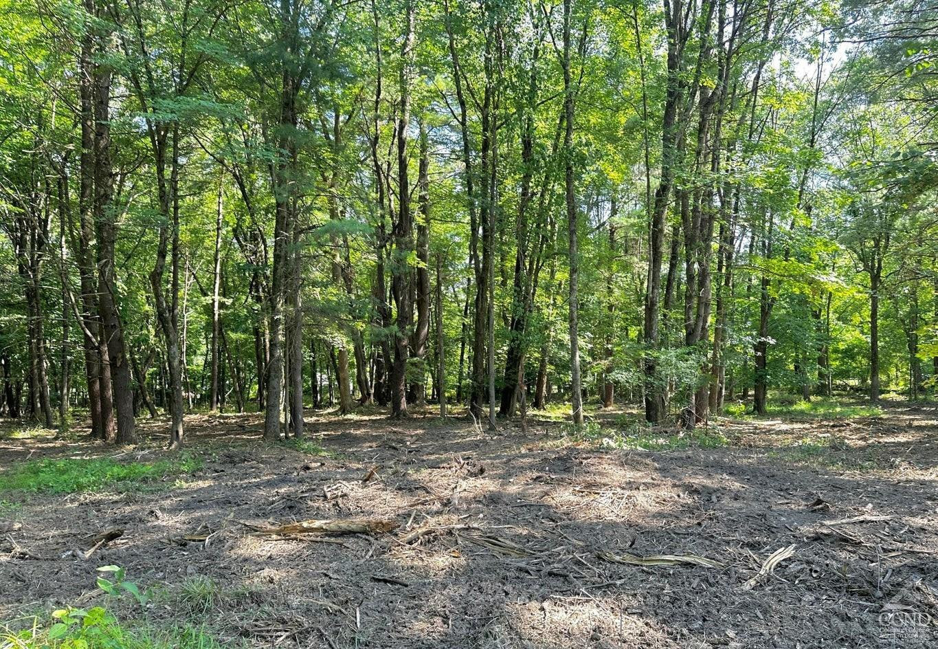 0 - Lot 1 Morey Park Rd