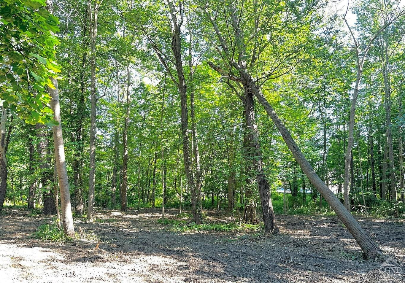 0 - Lot 2 Morey Park Hill Rd