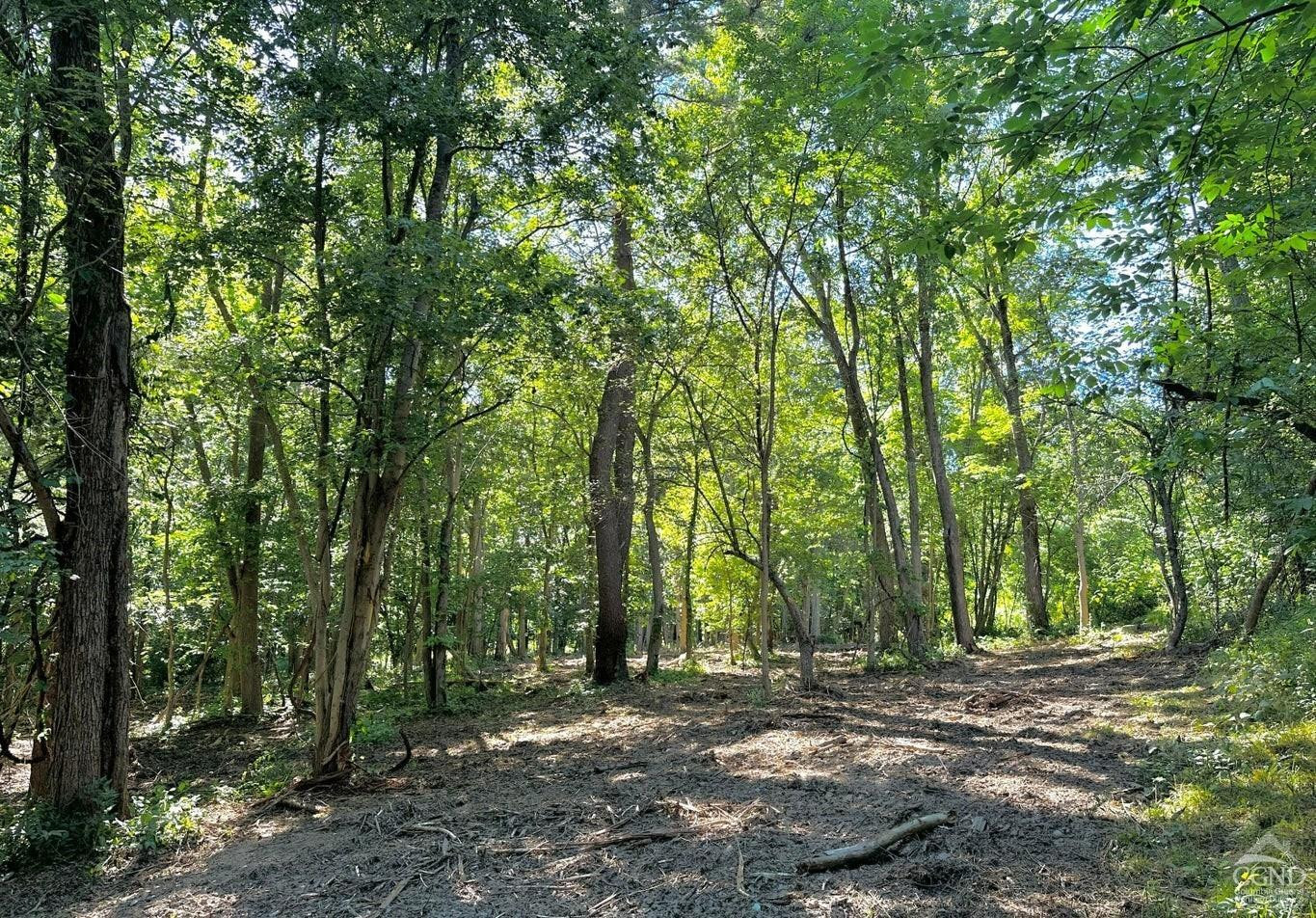 0 - Lot 2 Morey Park Hill Rd