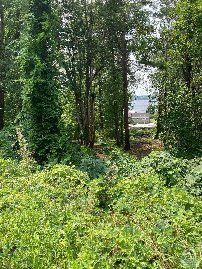 0 - Lot 2 Morey Park Hill Rd