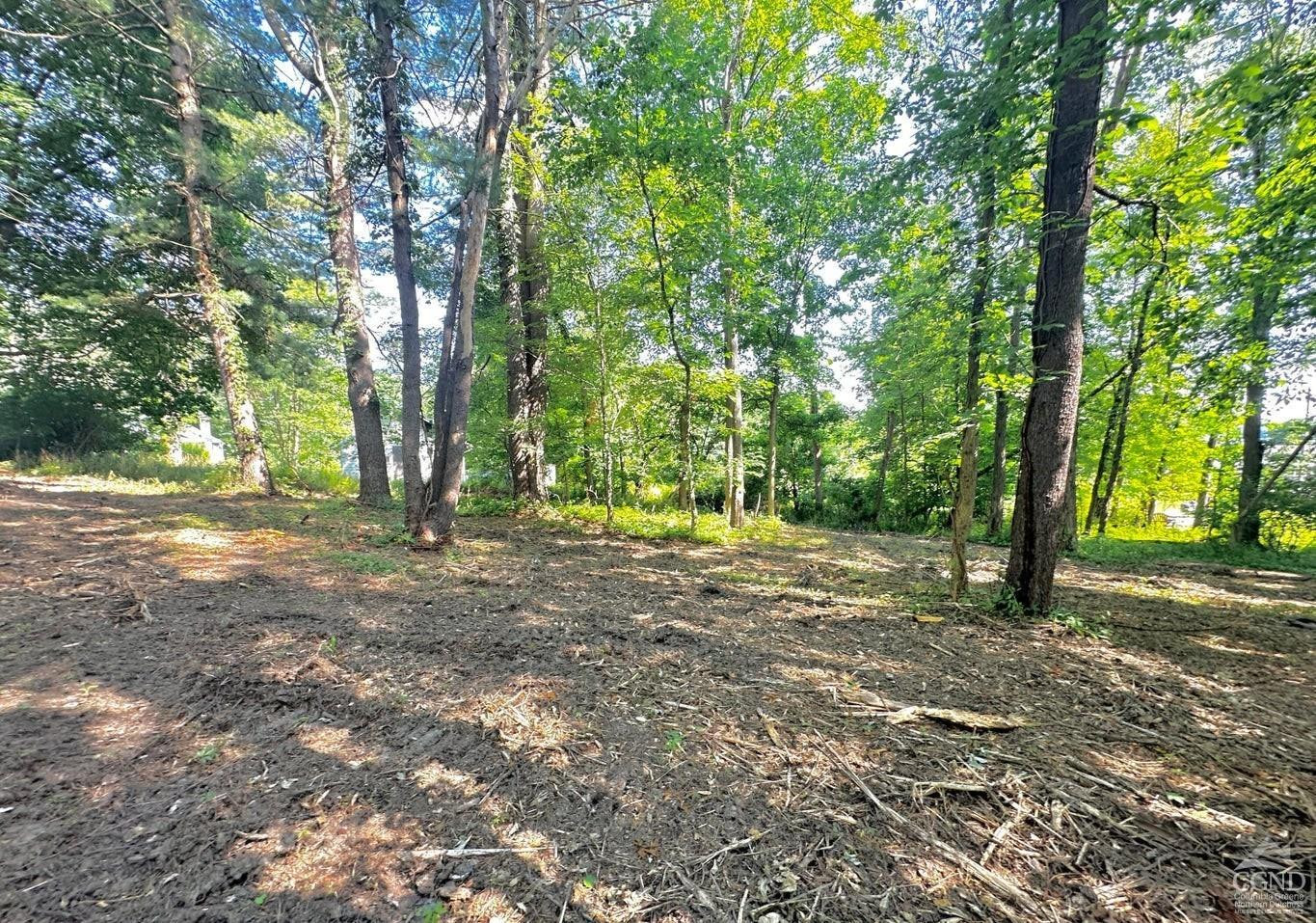 0 - Lot 2 Morey Park Hill Rd