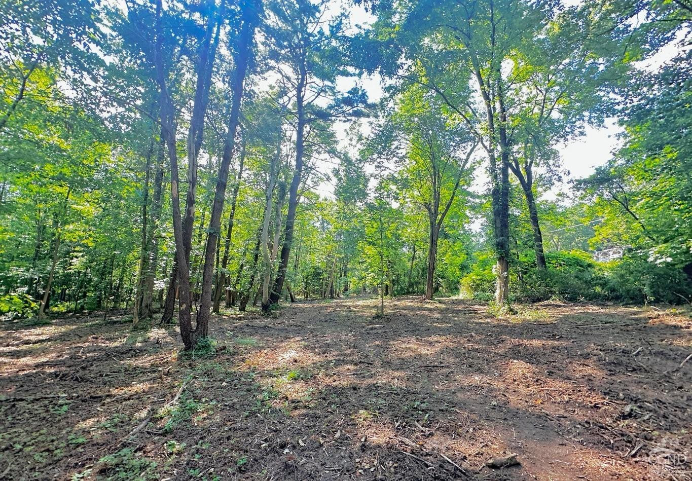 0 - Lot 2 Morey Park Hill Rd