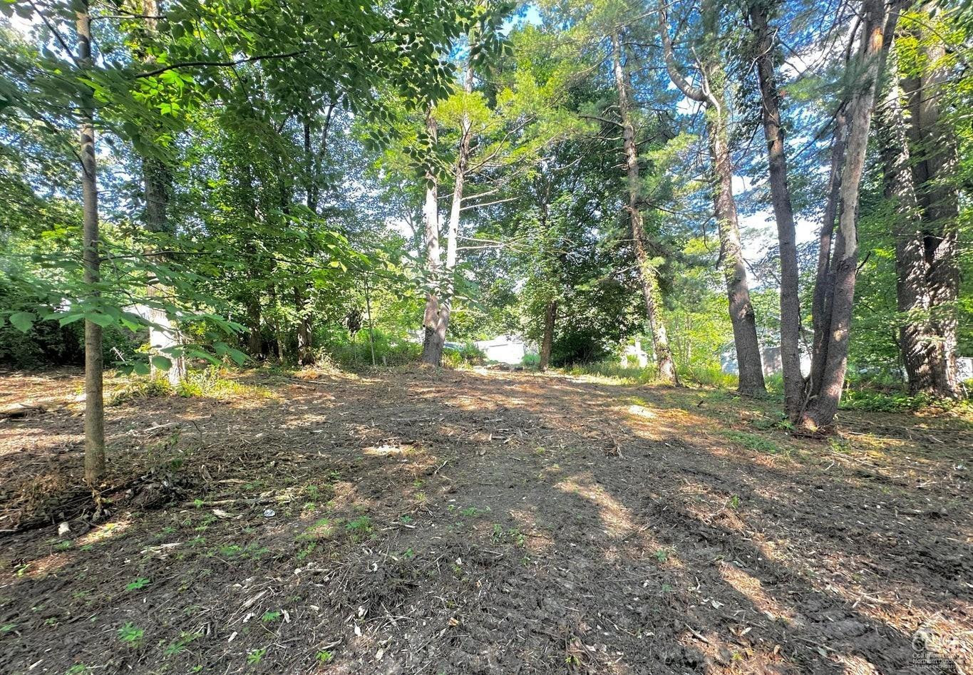 0 - Lot 2 Morey Park Hill Rd
