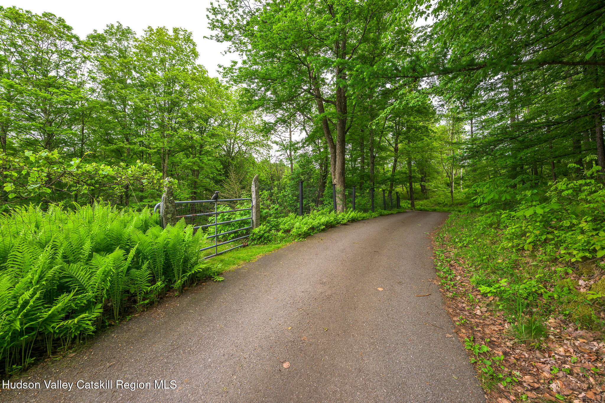 5015 Crow Hill Road