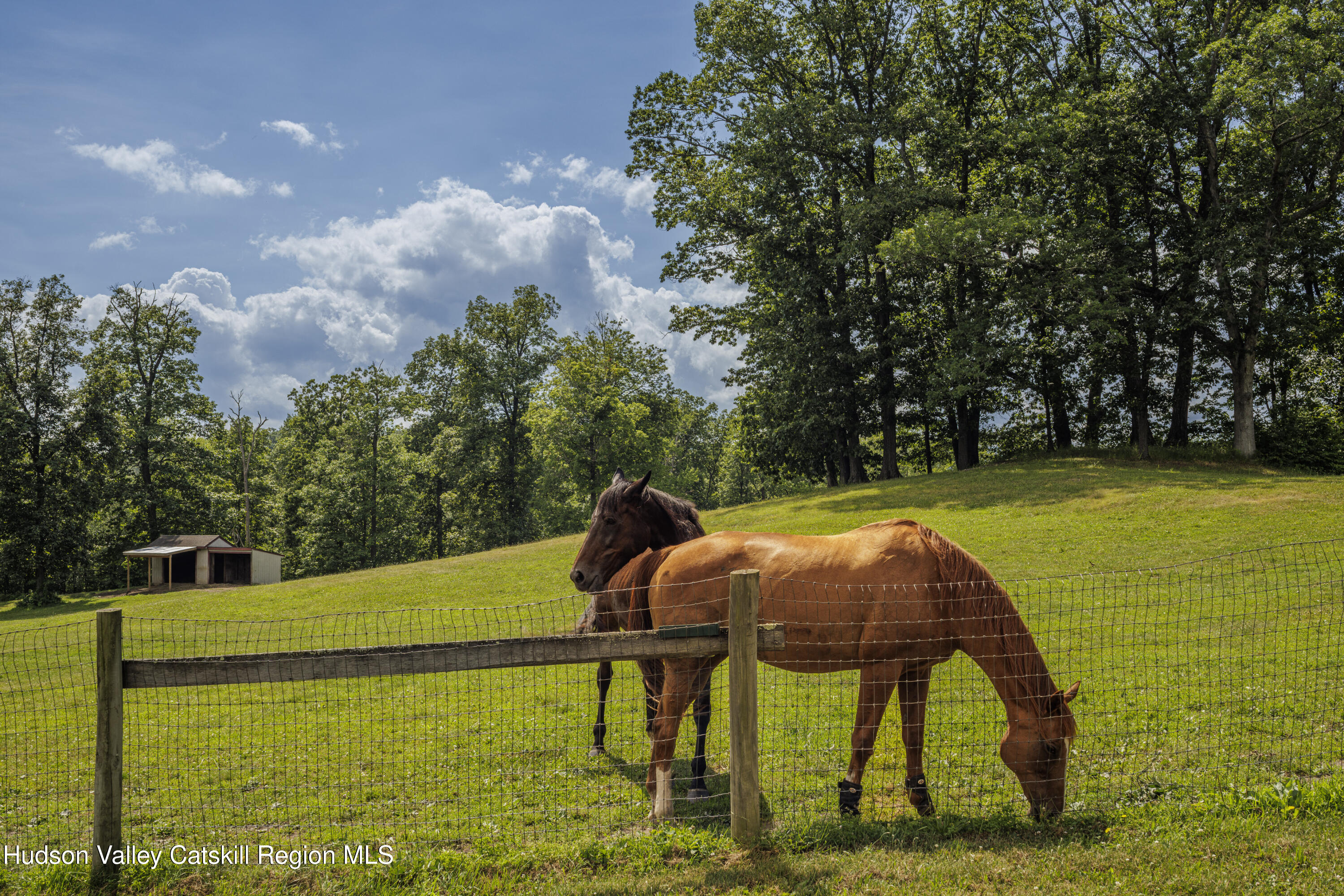 48 County Route 14 NONE