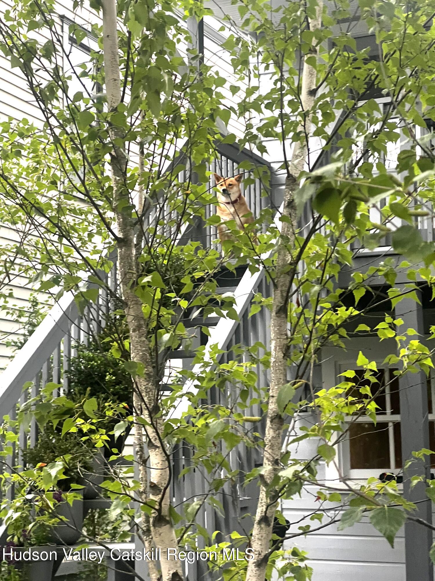 238 Allen Street, Hudson