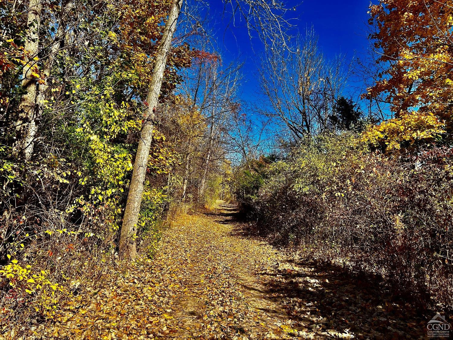 191 - B Columbia Turnpike