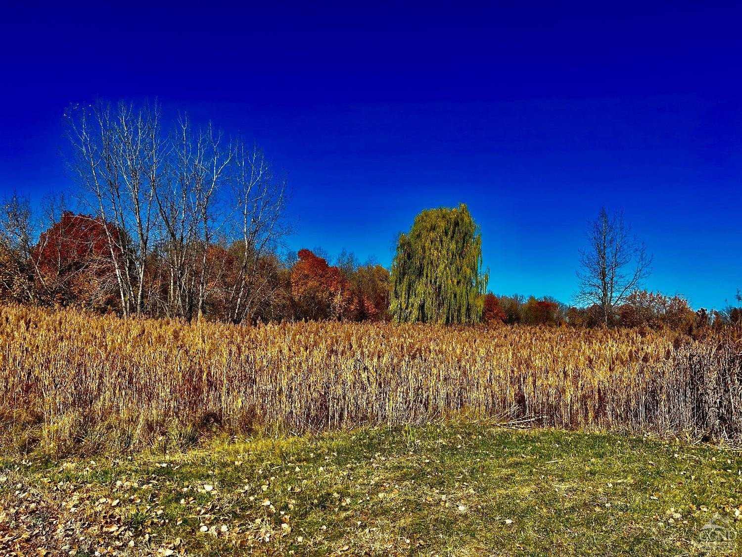 191 - B Columbia Turnpike