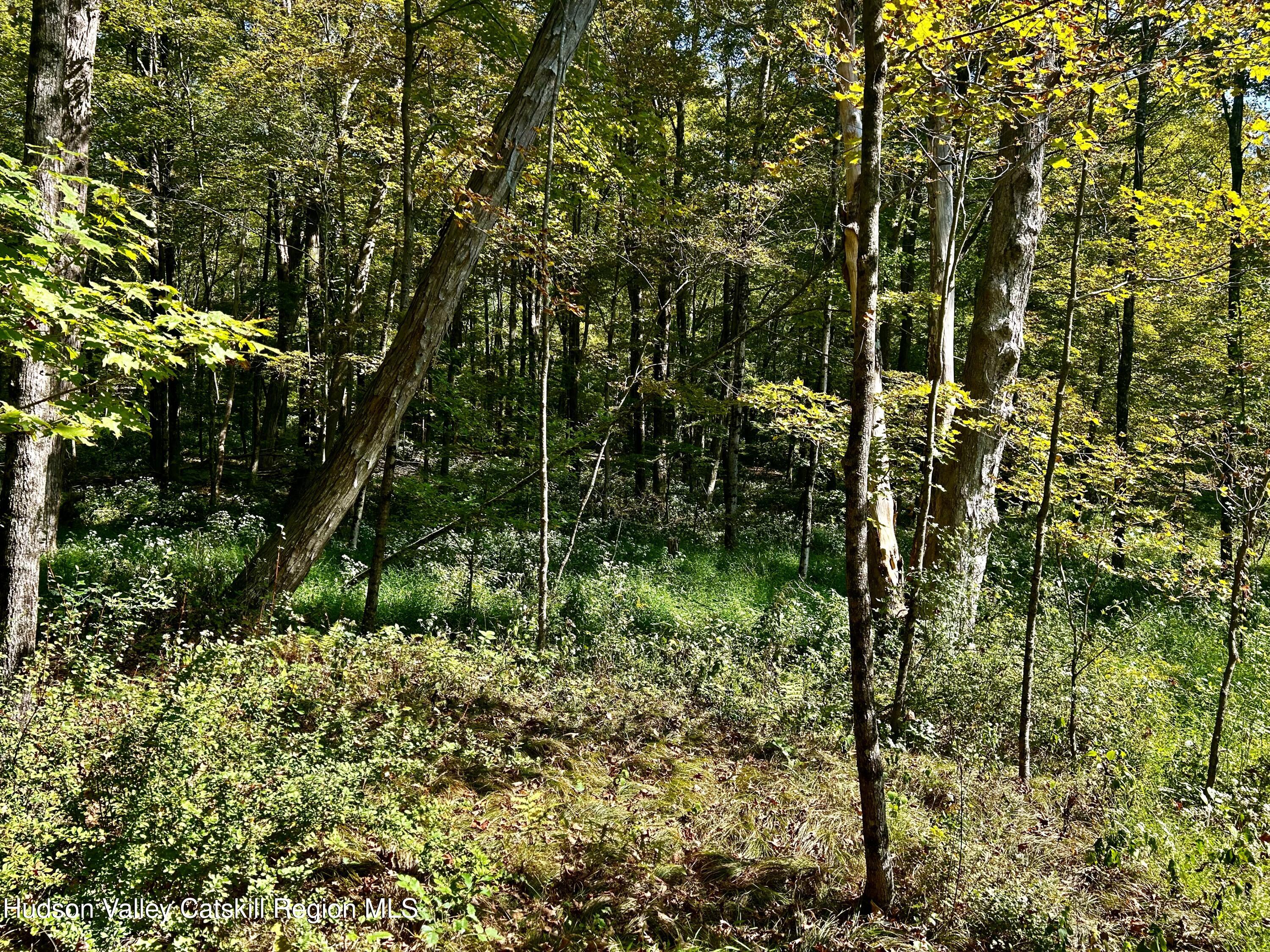 0000 Westfall Road