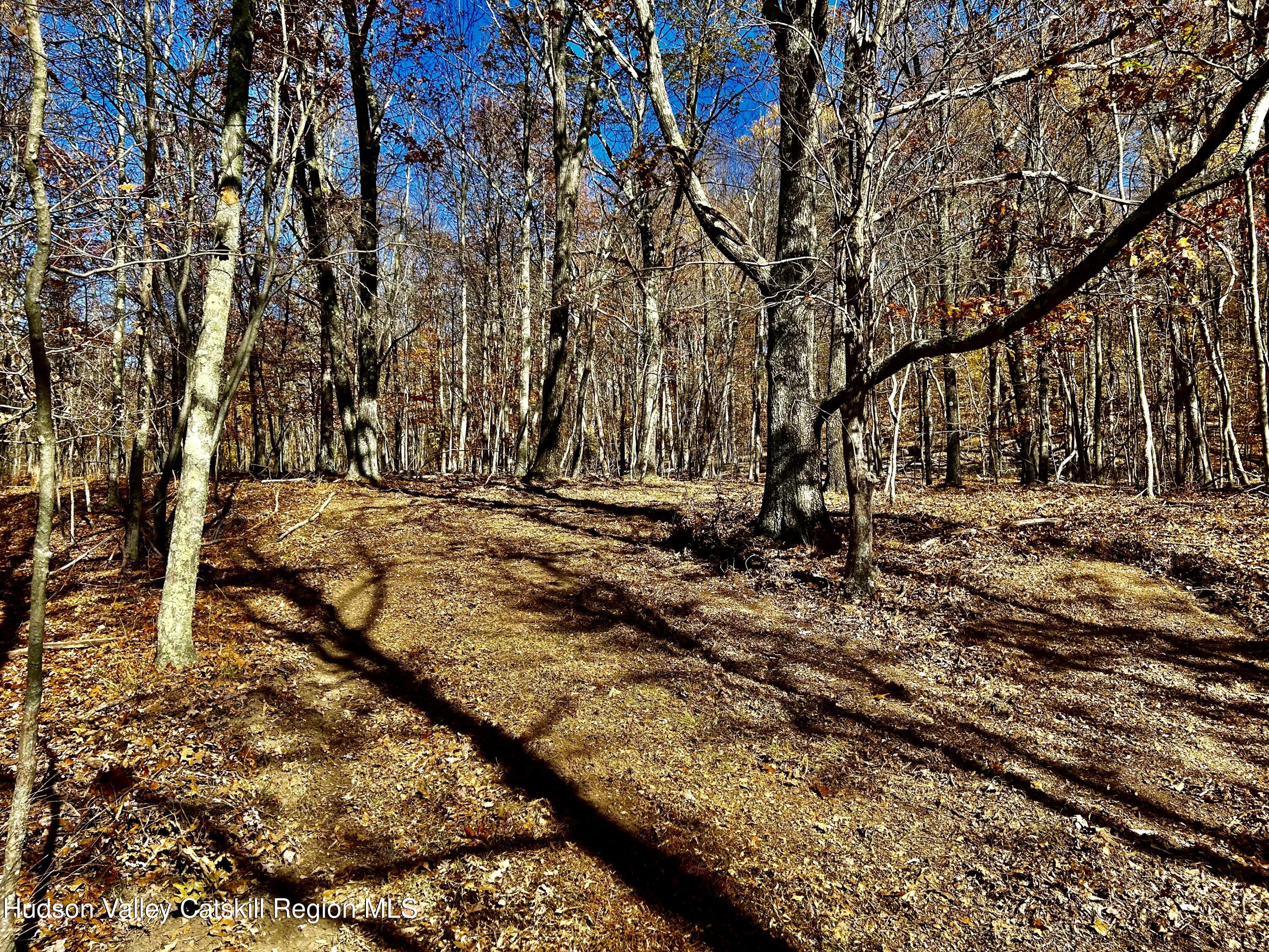 0000 Westfall Road