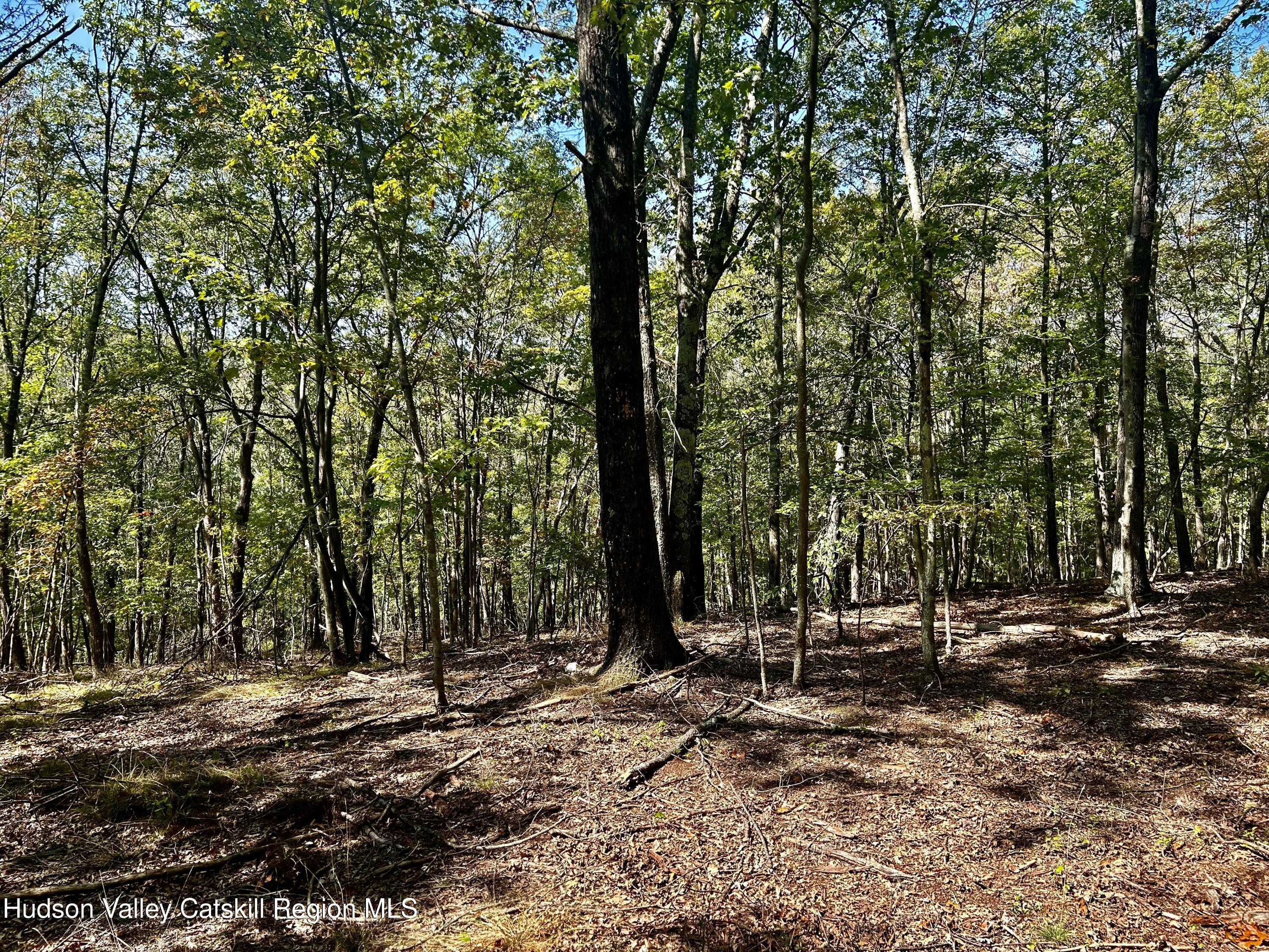 0000 Westfall Road