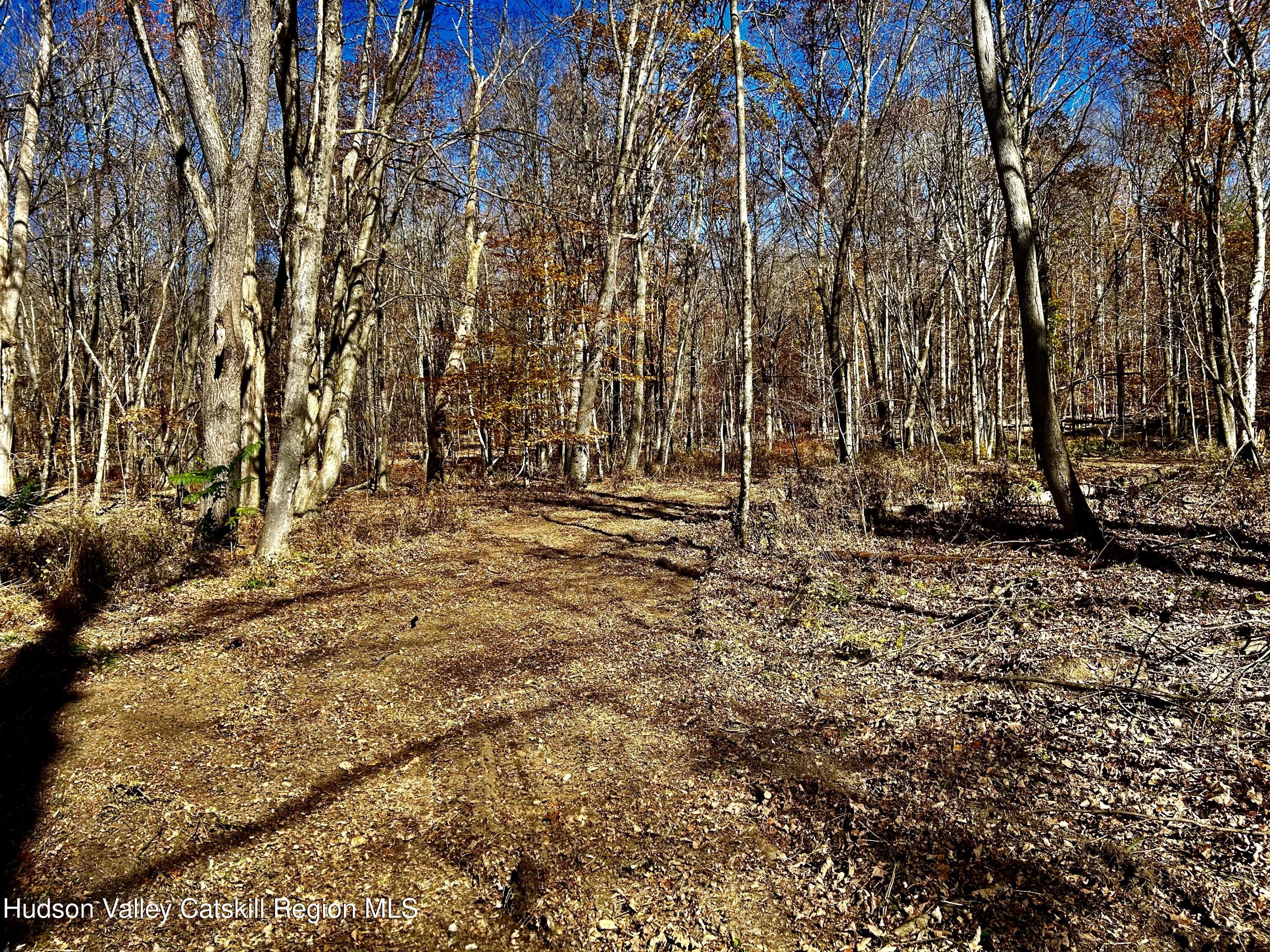0000 Westfall Road