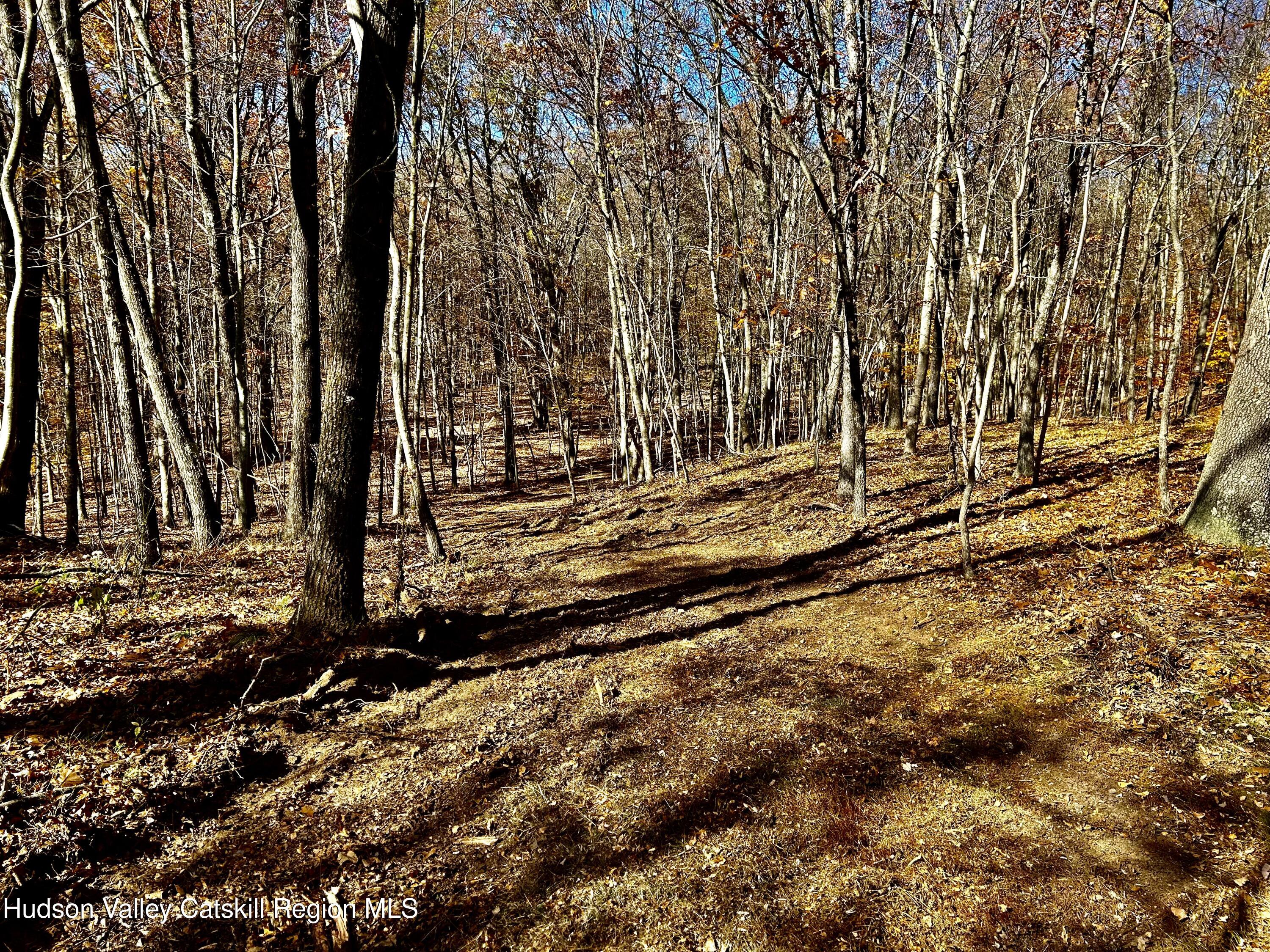 0000 Westfall Road