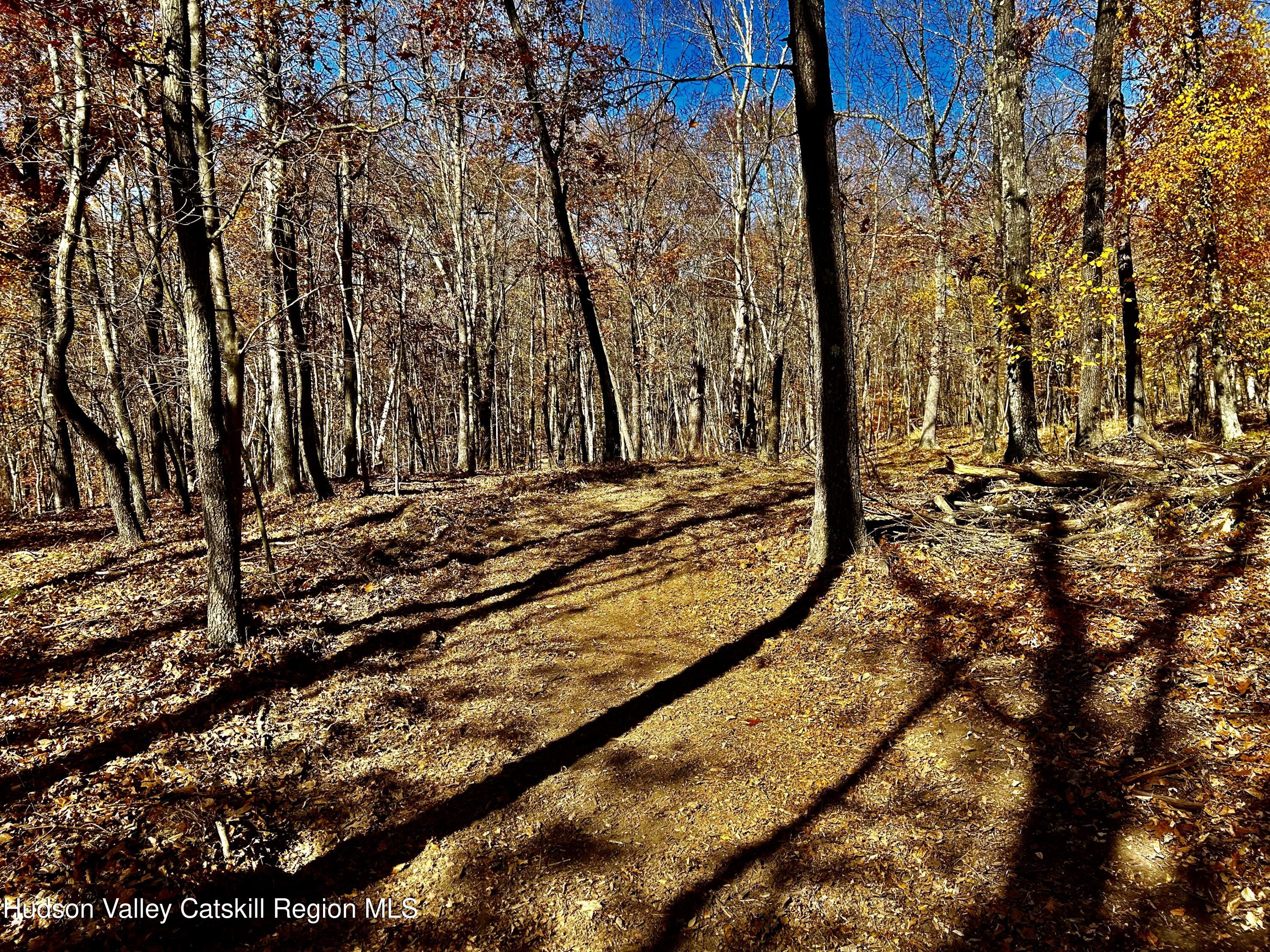 0000 Westfall Road