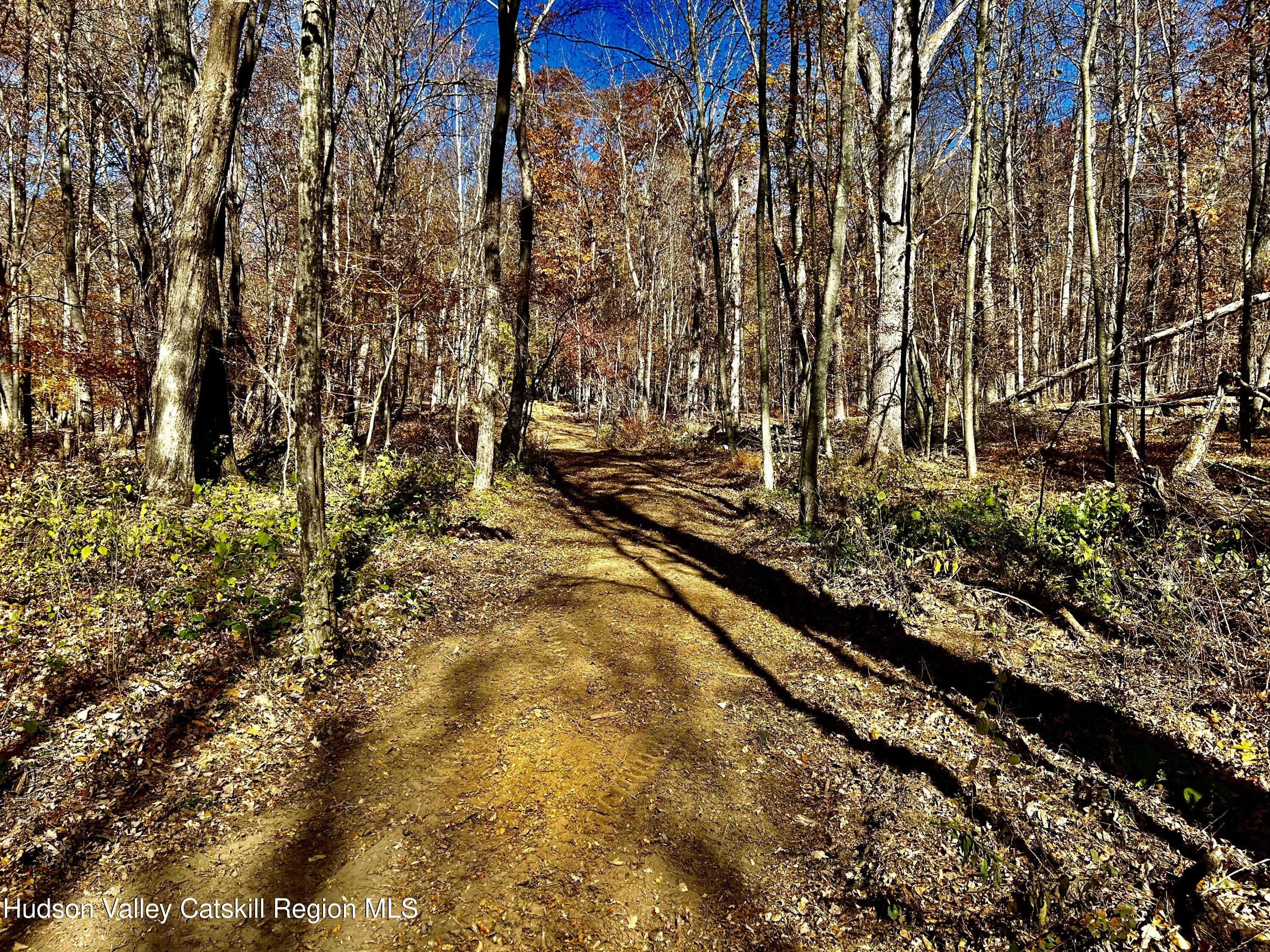 0000 Westfall Road