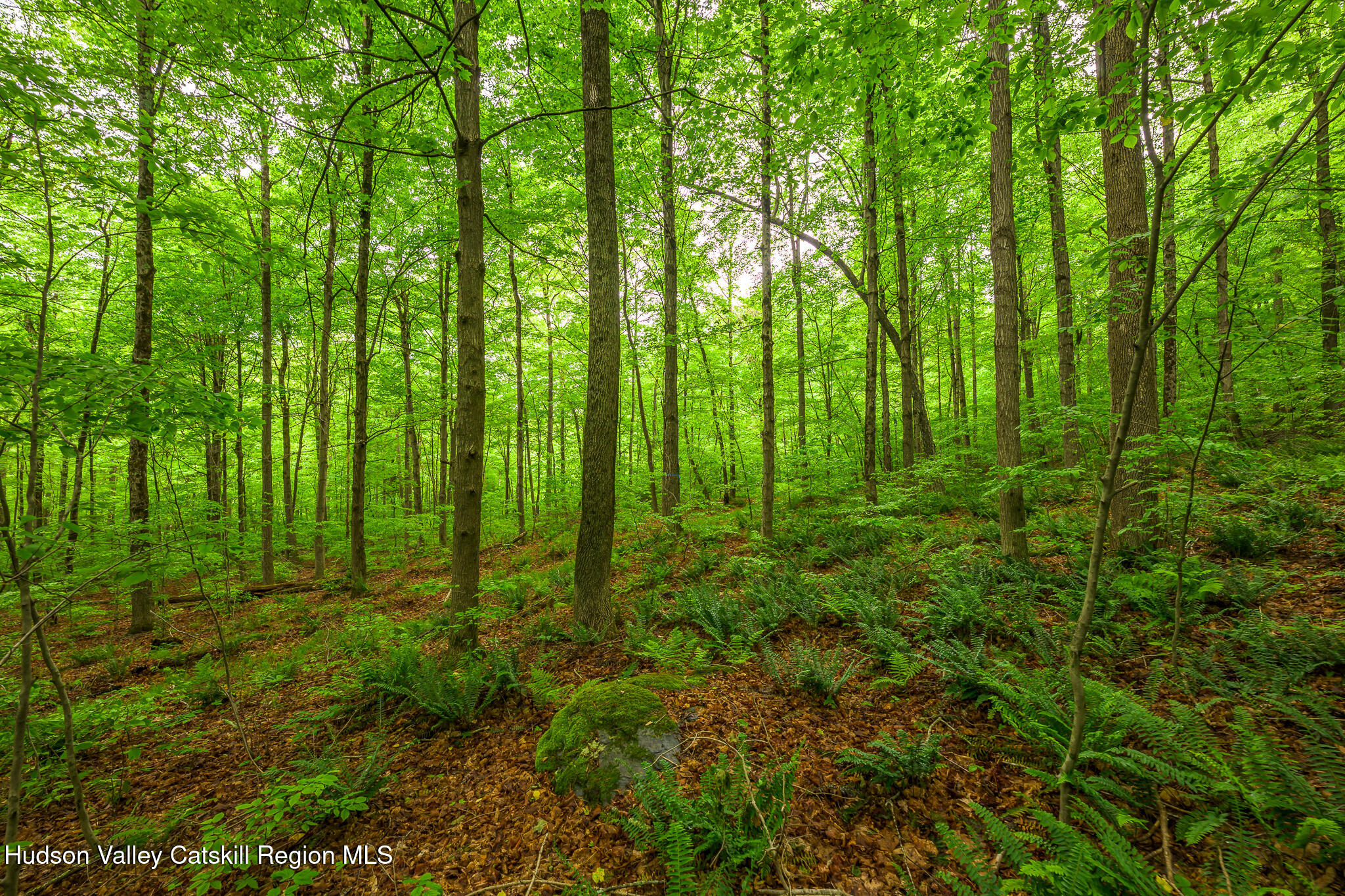 75 Upper Hollow Road