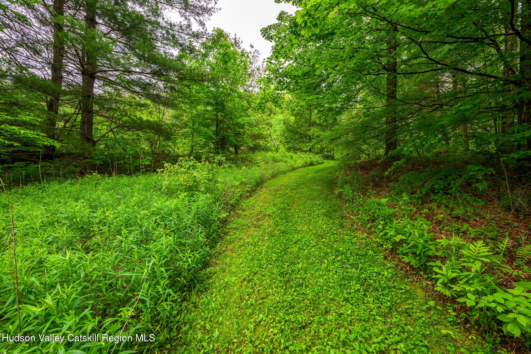 75 Upper Hollow Road