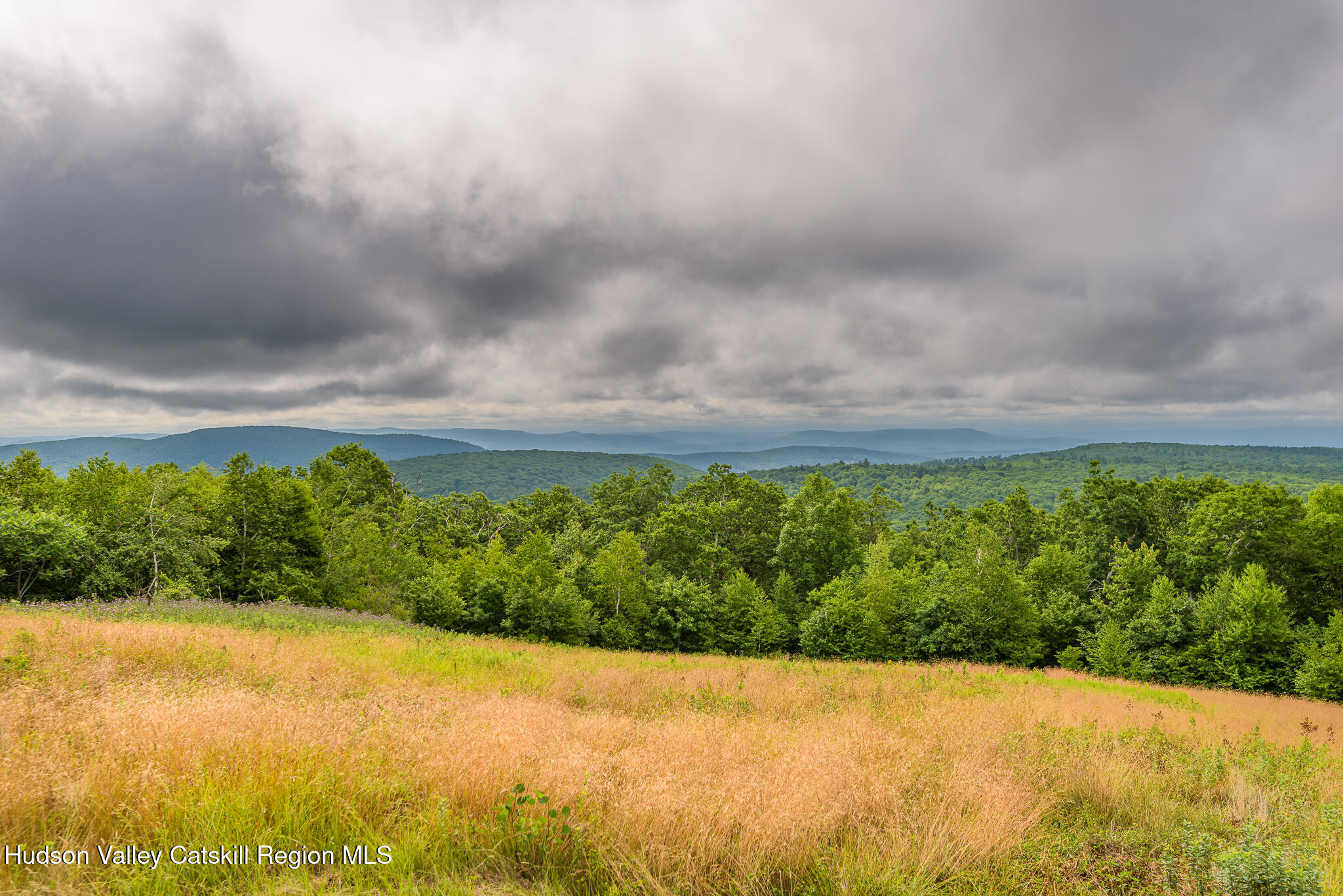 890 Bald Mountain Road