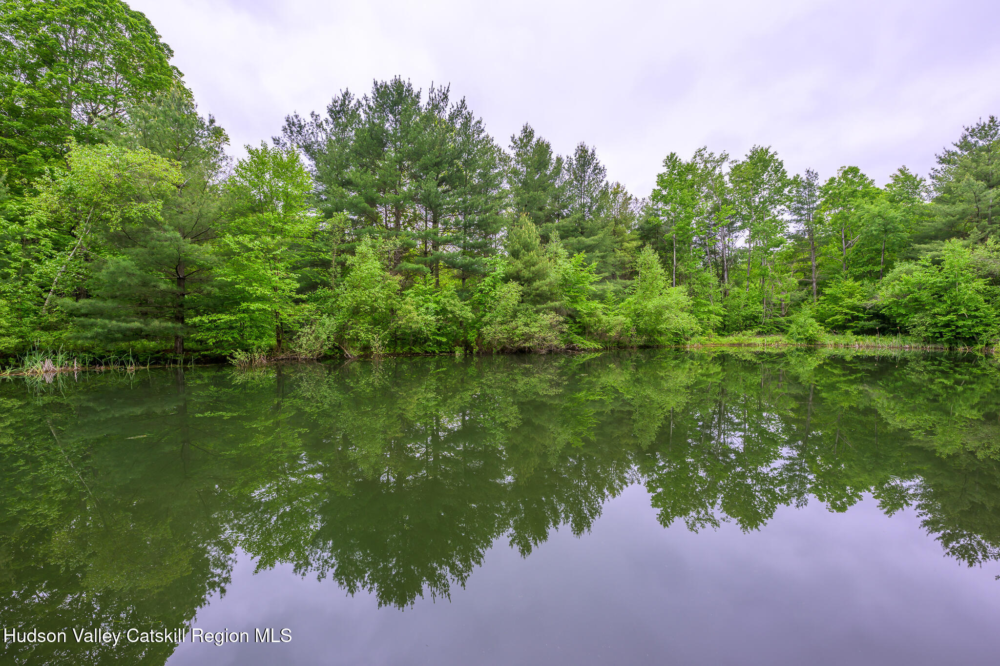 890 Bald Mountain Road