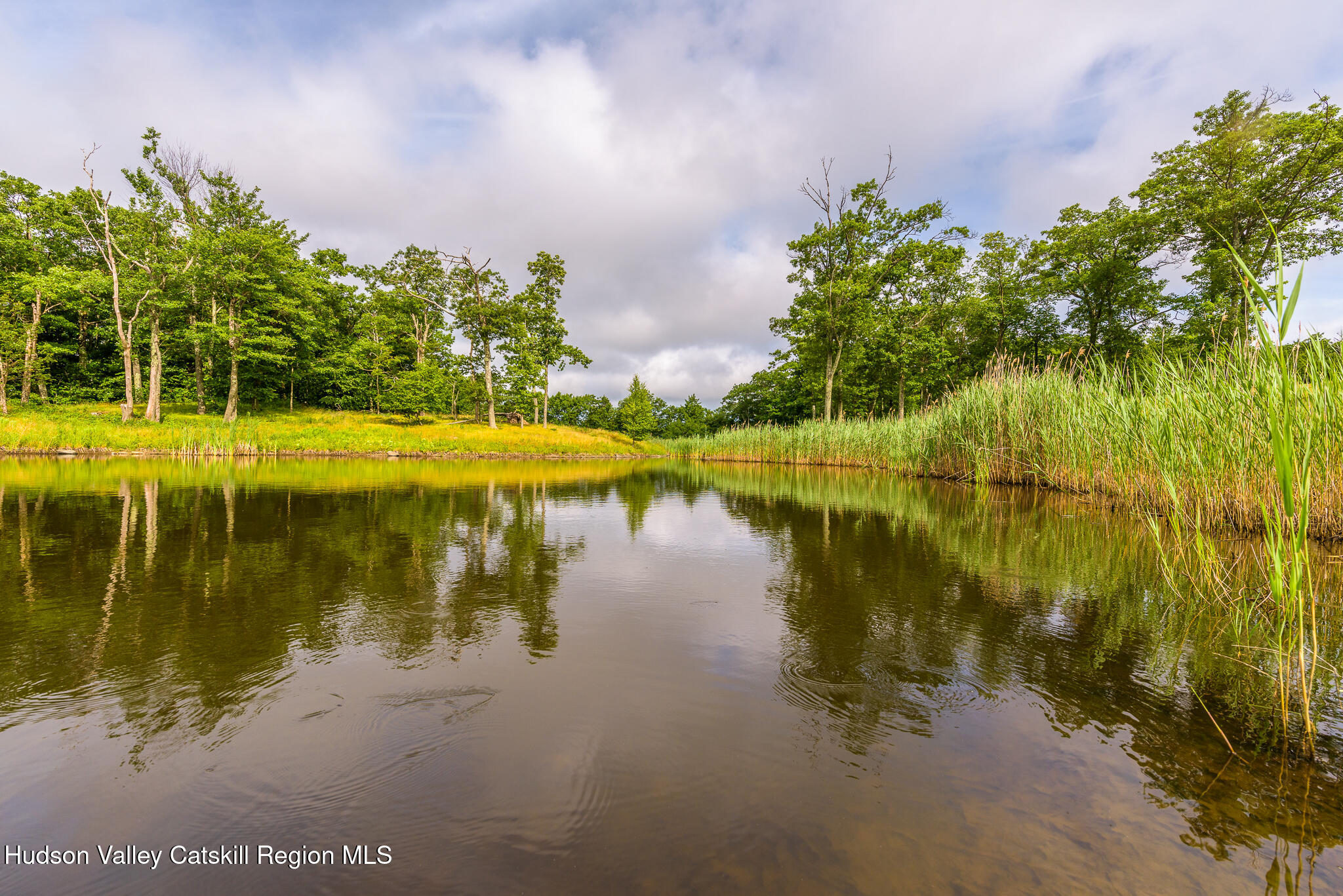 890 Bald Mountain Road