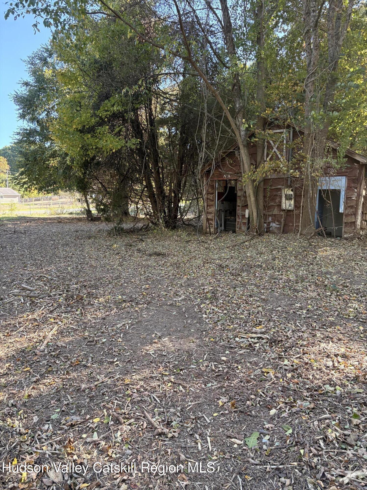 Weathered wooden outbuilding among trees, with a leaf-covered yard and open doorway.