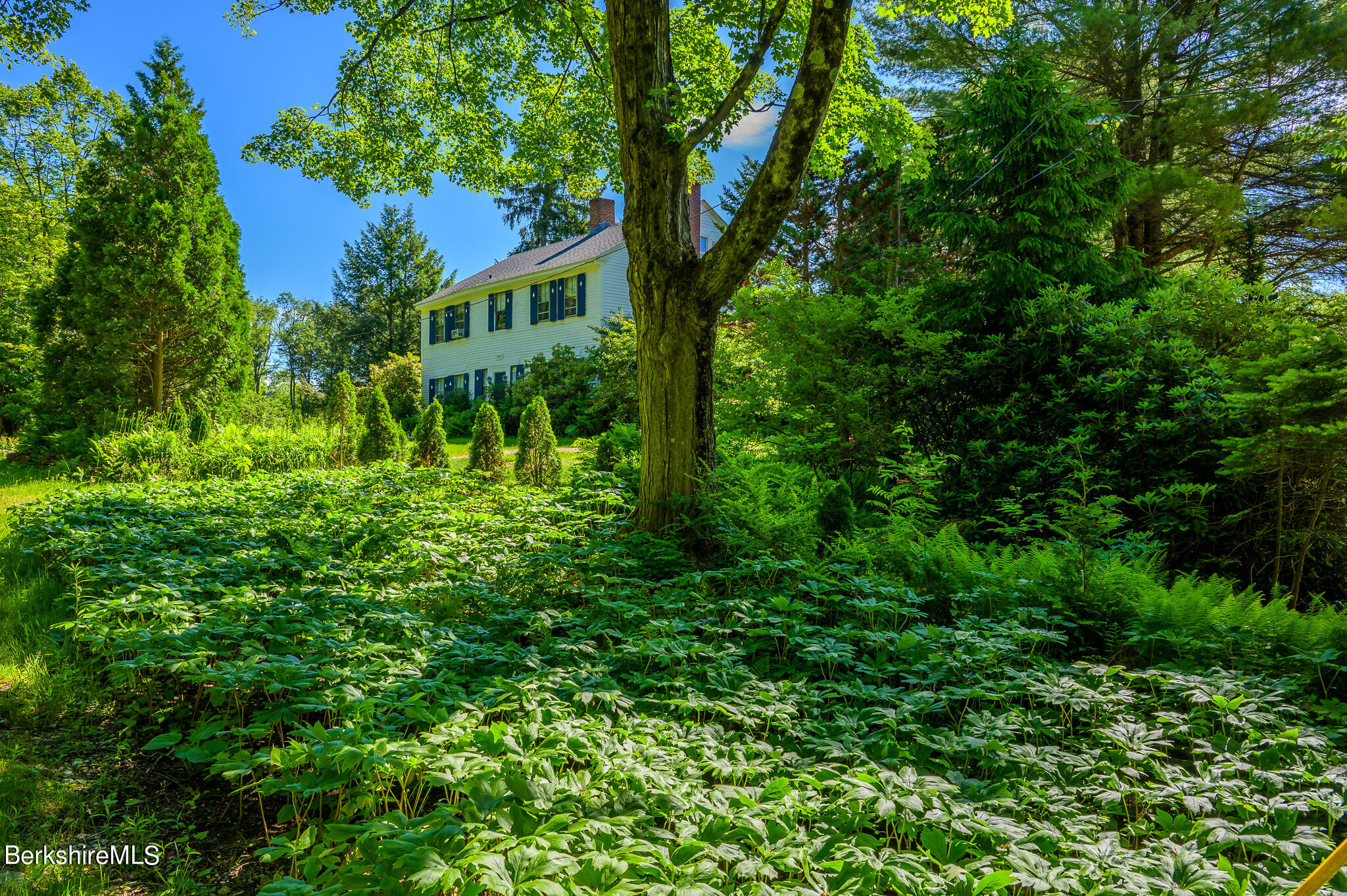 350 Old Cheshire Rd