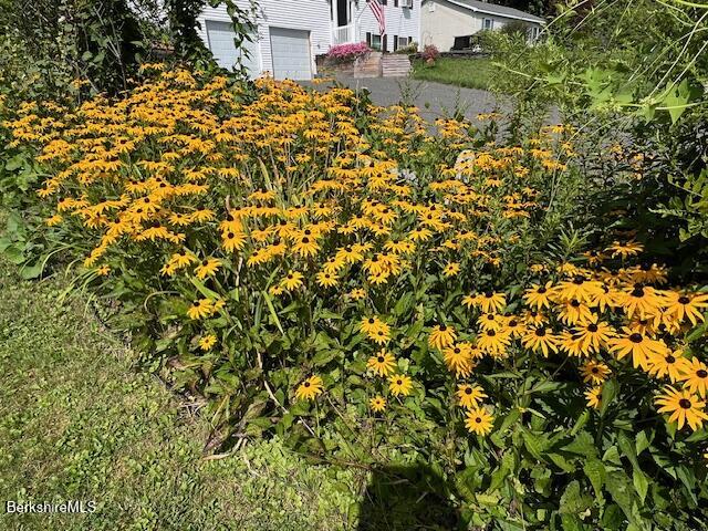 215 Partridge Rd