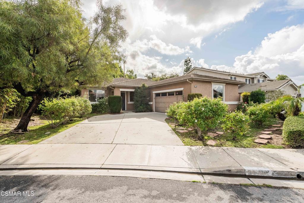 3160 China Fir Place