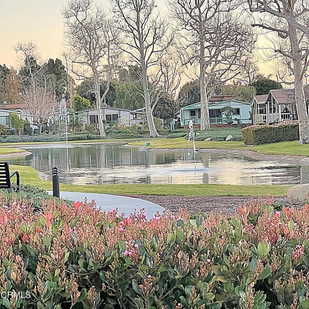 2510 Elderberry Drive 60