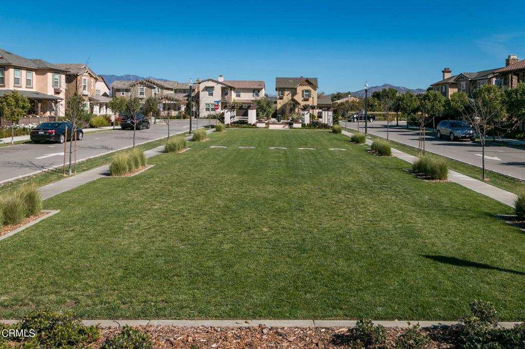 11260 Hyacinth Street