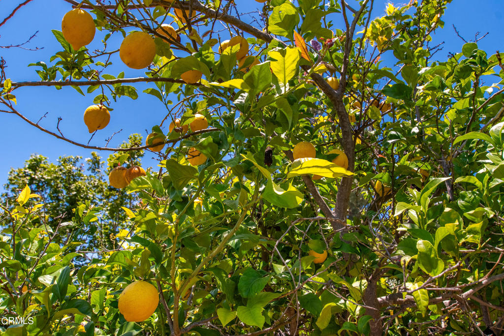 801 Vista Coto Verde