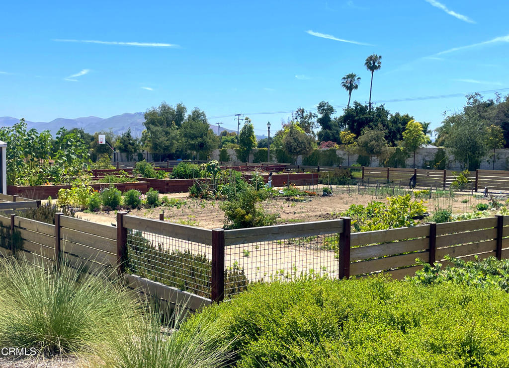 10576 San Leandro Street