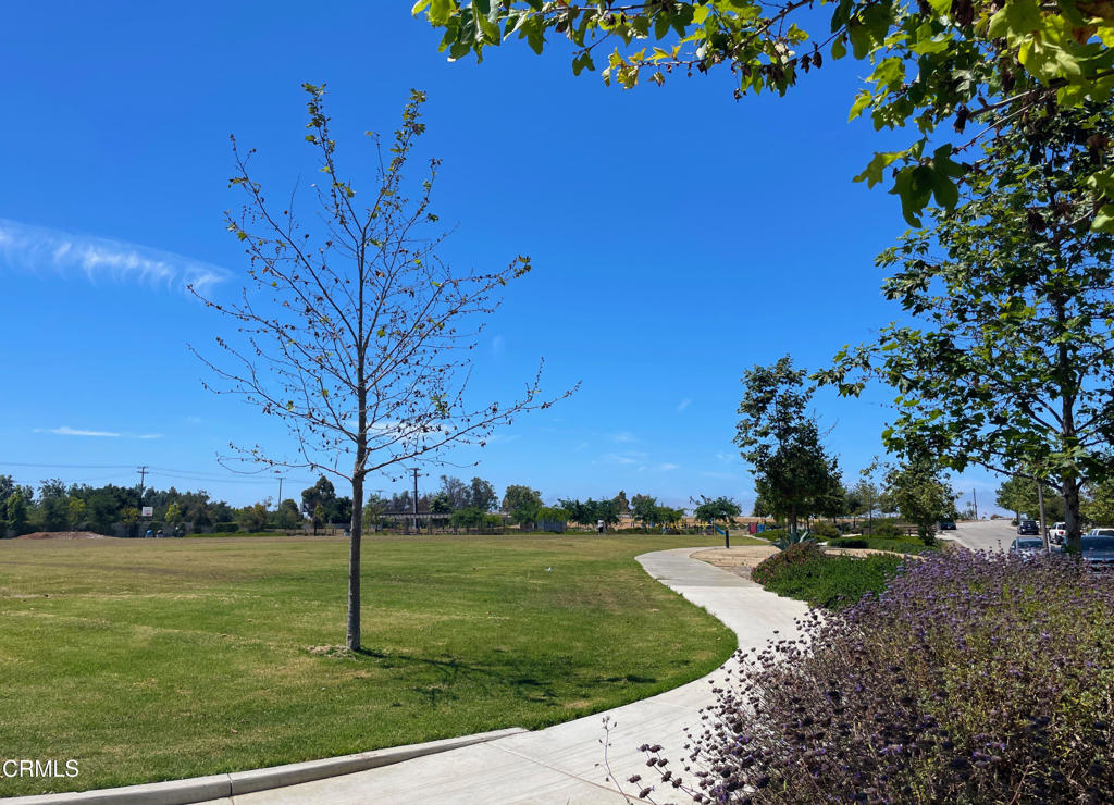 10576 San Leandro Street