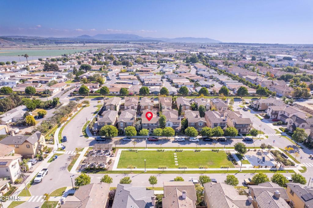 11316 Hyacinth Street