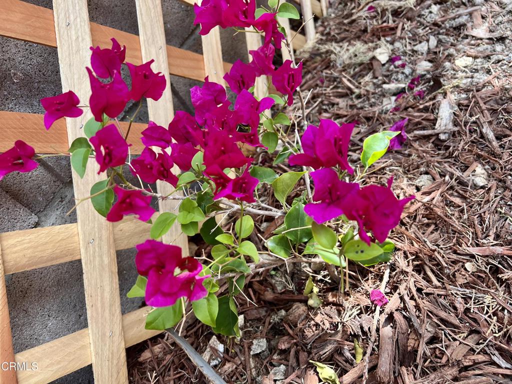 44568 Tarragon Drive