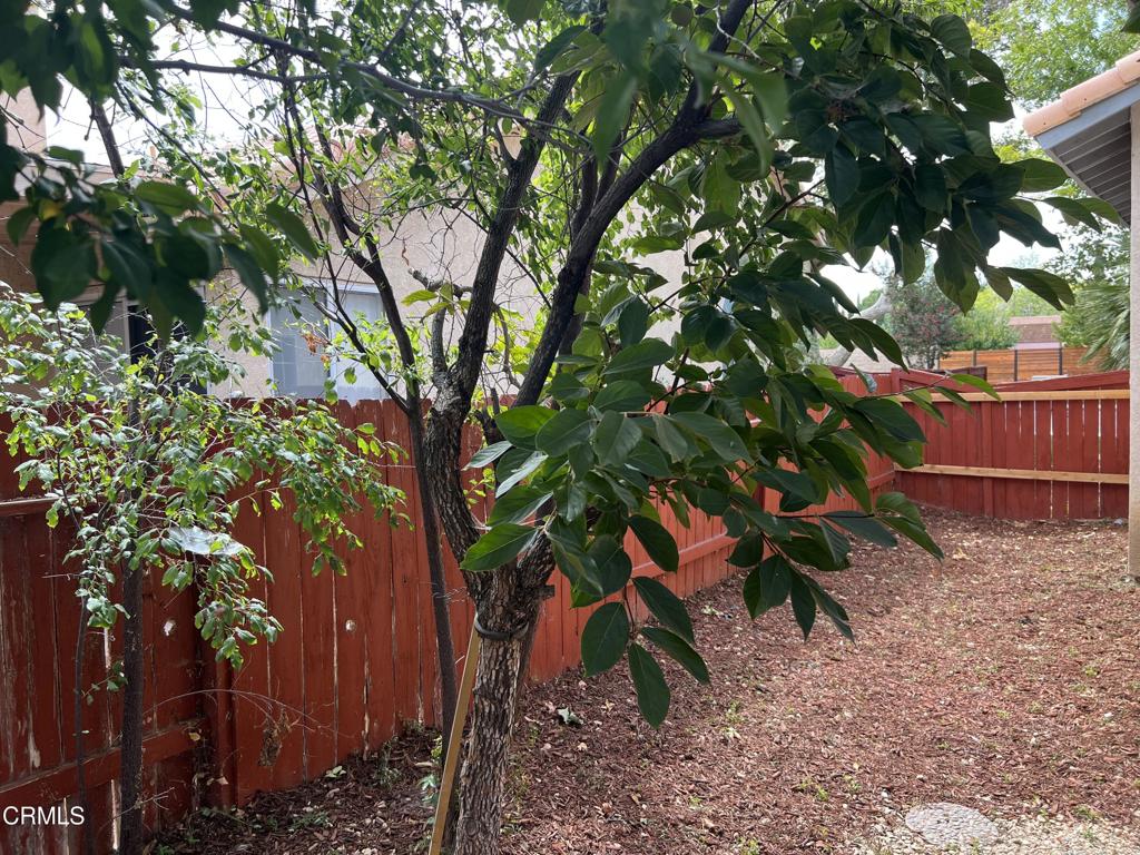 44568 Tarragon Drive