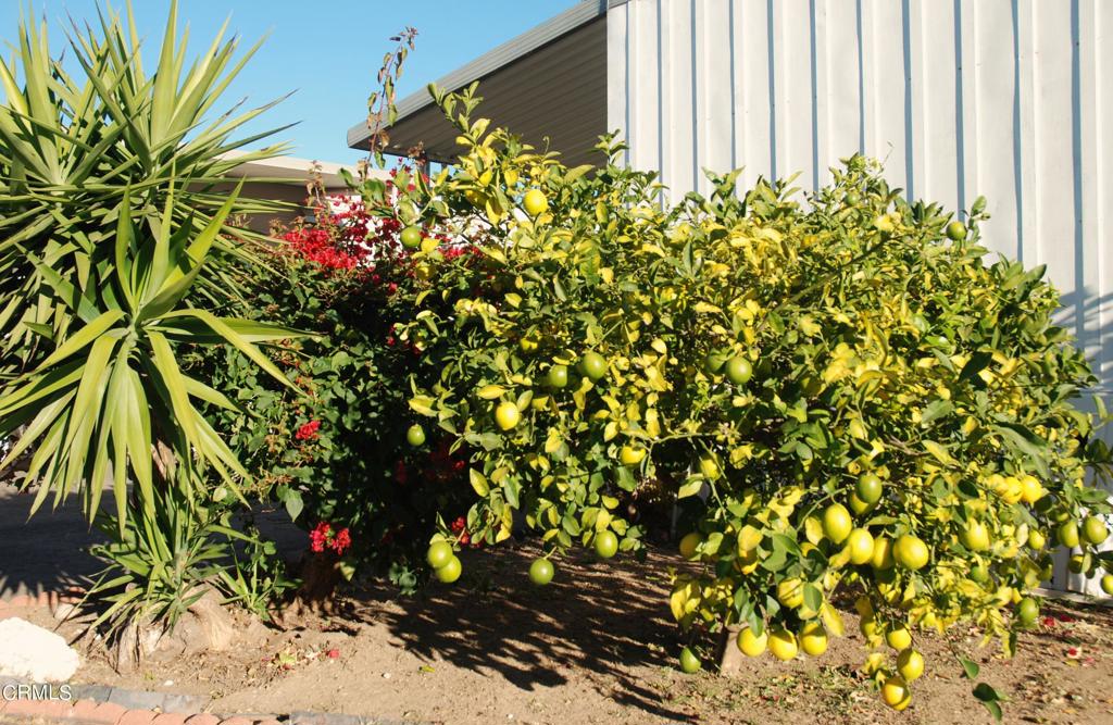 4388 E Central Avenue 48