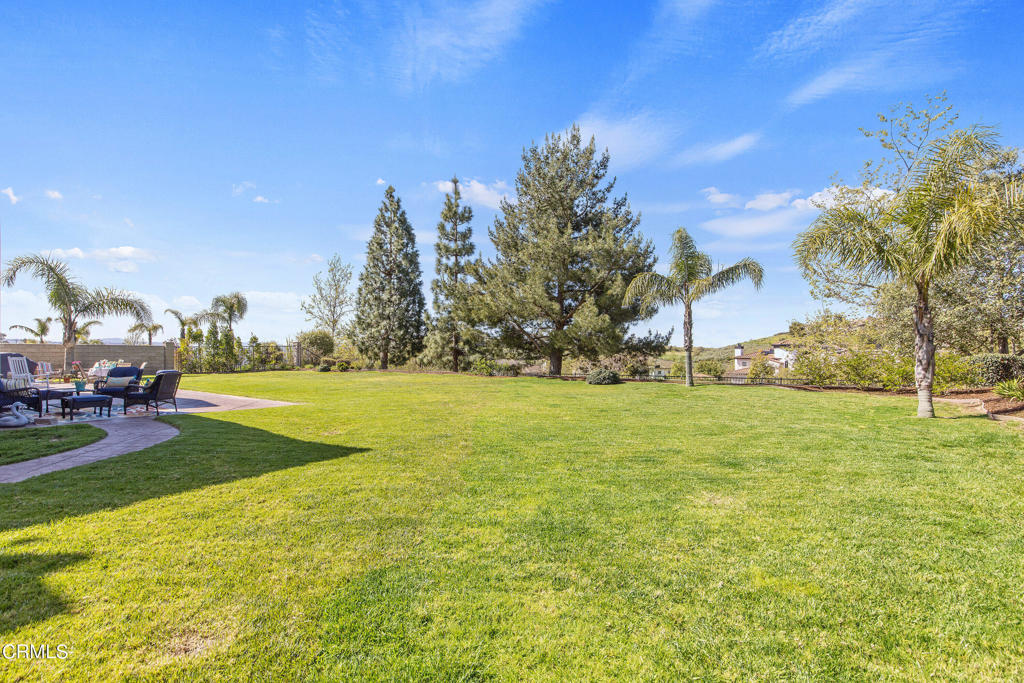 12388 Palmer Drive