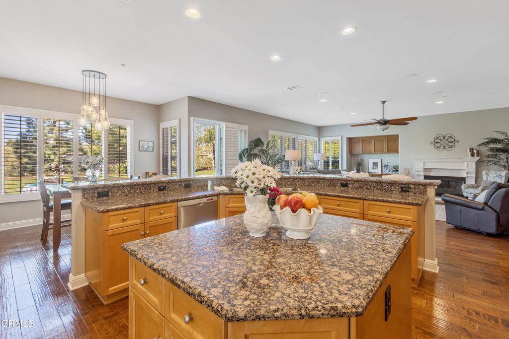 12388 Palmer Drive