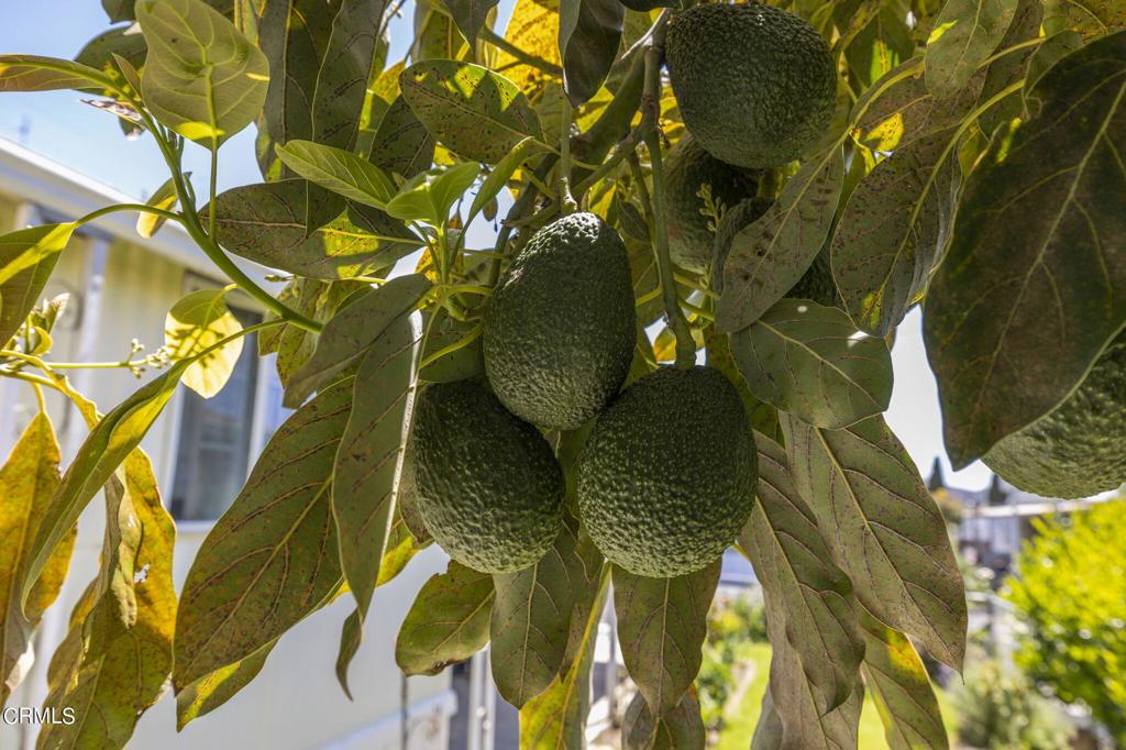 101 Barnes Drive 101