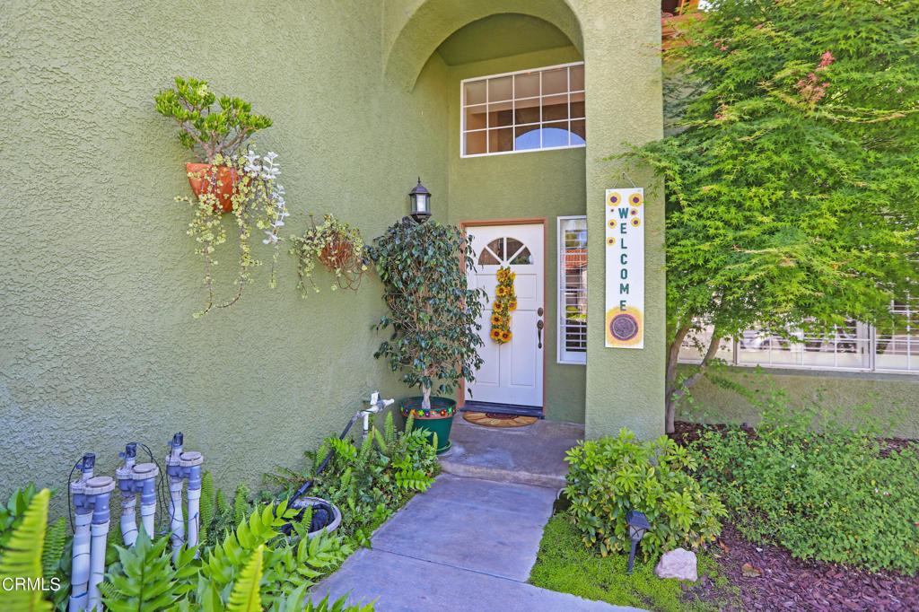 539 Mockingbird Lane