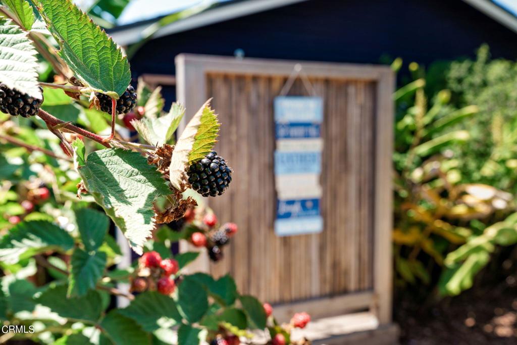 115 W Barnett Street