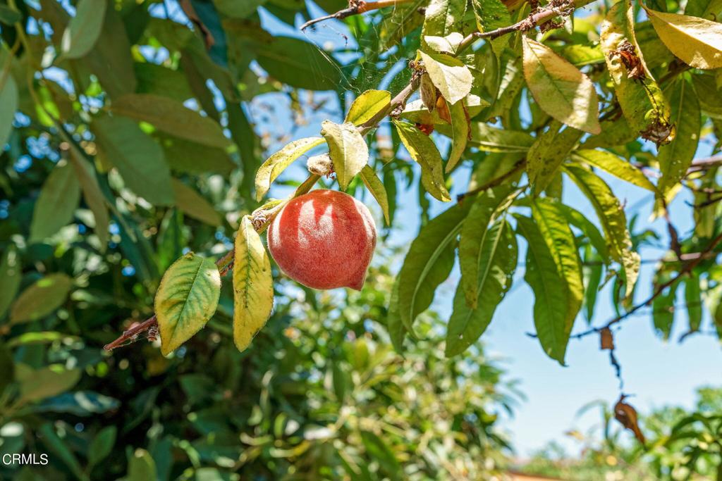 115 W Barnett Street