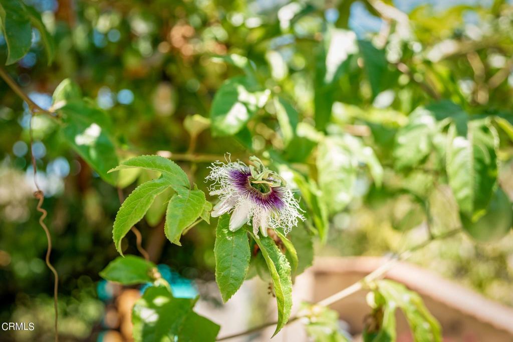 115 W Barnett Street