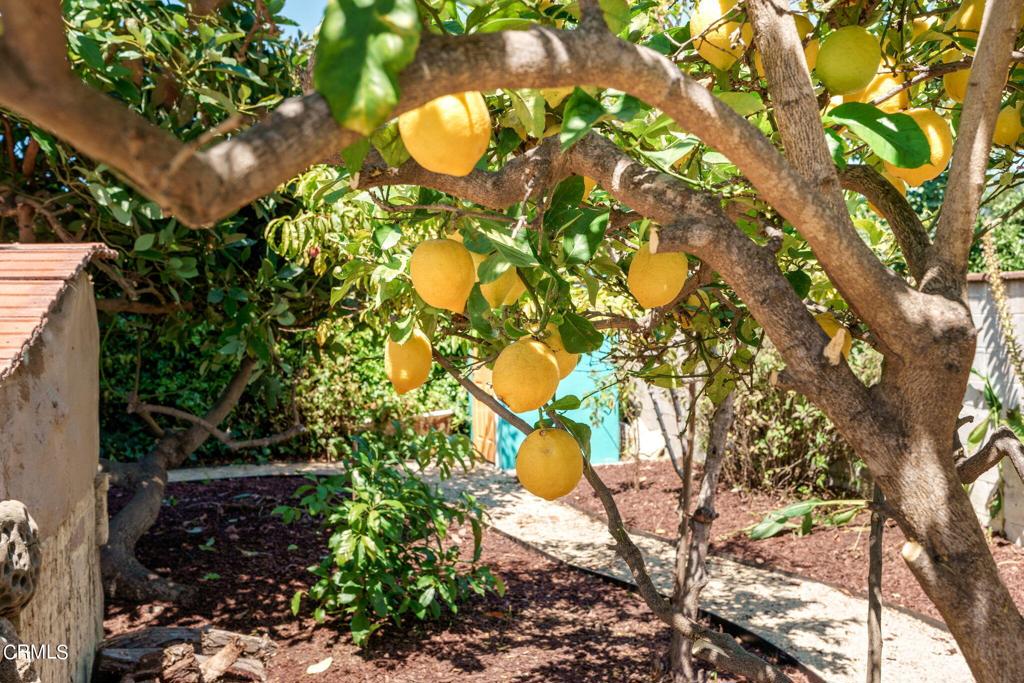 115 W Barnett Street