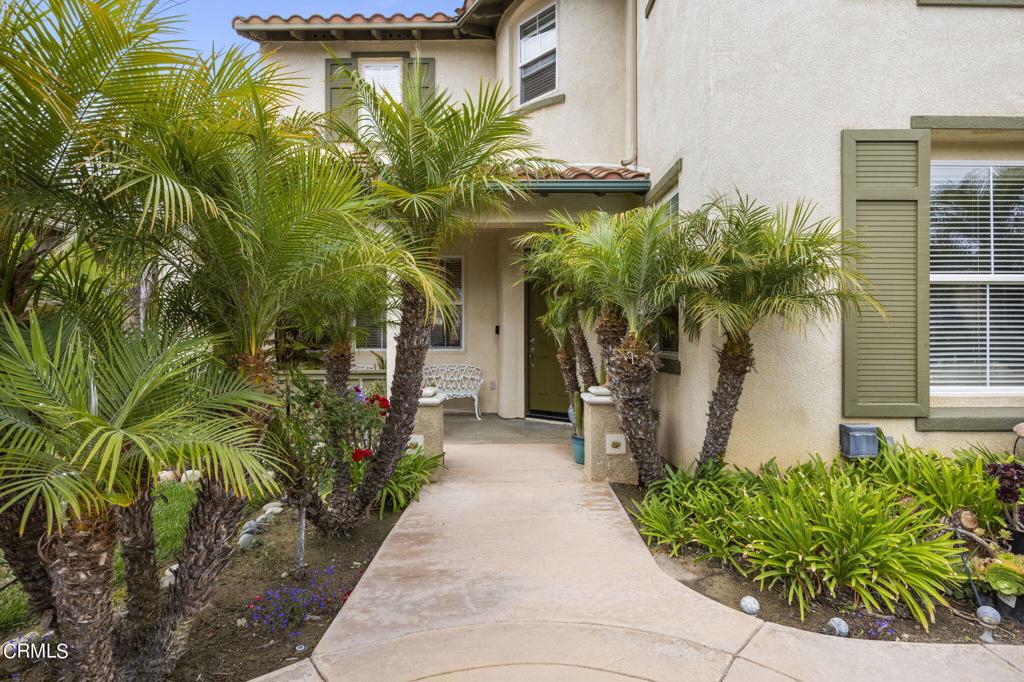 3205 Dove Canyon Drive