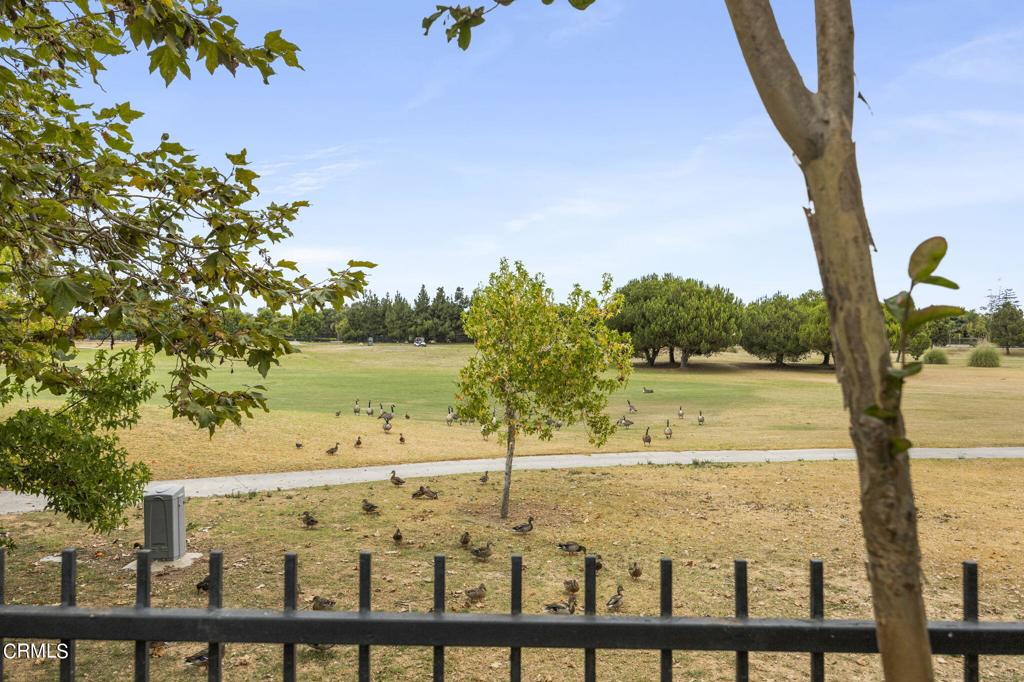 3205 Dove Canyon Drive