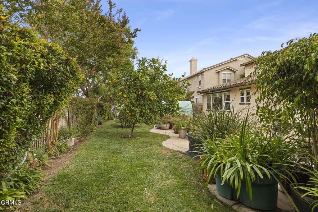 3205 Dove Canyon Drive