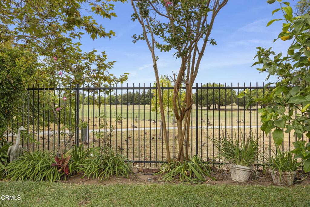 3205 Dove Canyon Drive