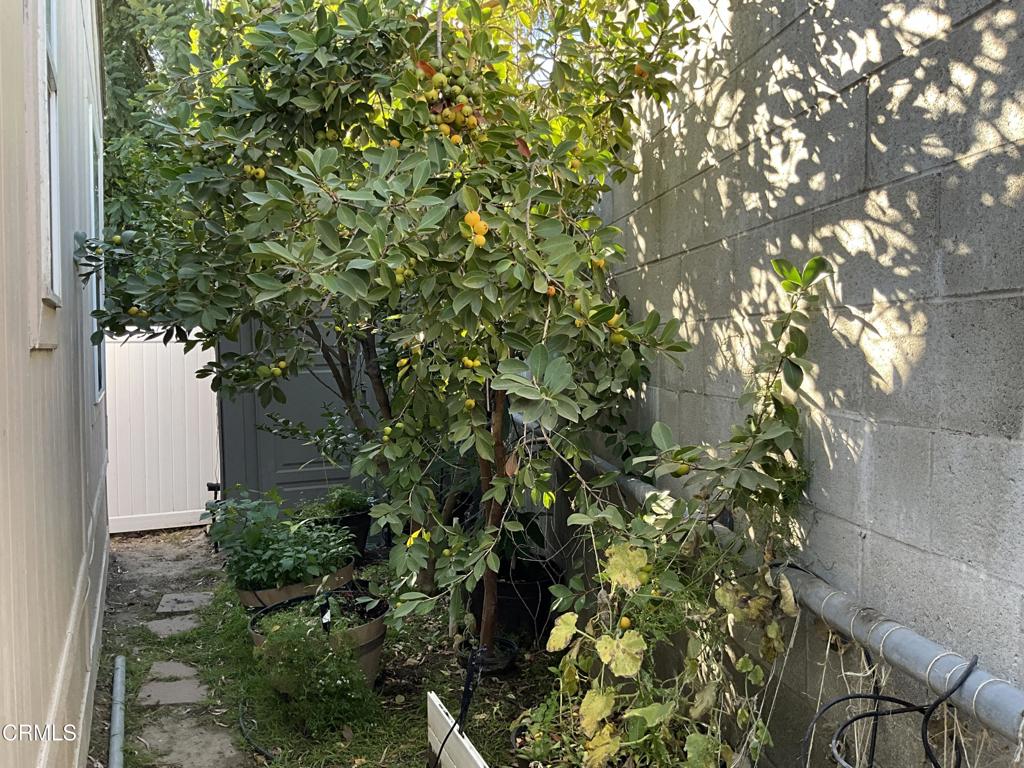 31 Kimberly Drive 31